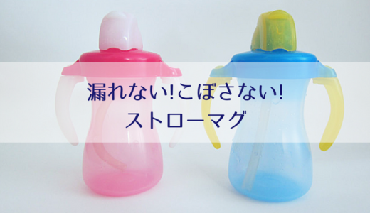 ストローマグを清潔に保つ洗い方のコツ 簡単 消毒方法 Misako Note