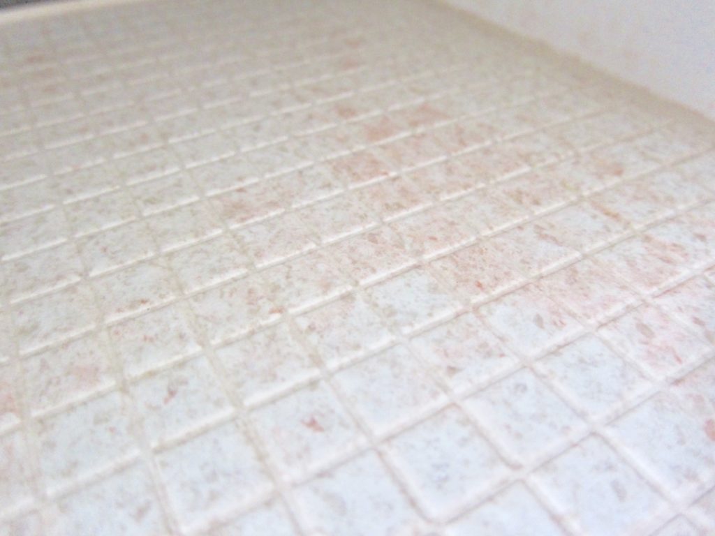 お風呂の床のルドトルラによるピンク汚れ