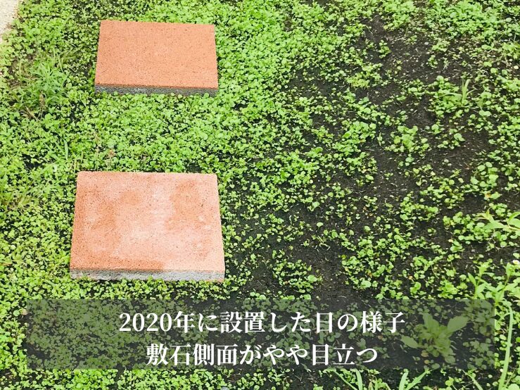ダイカンドラ敷石設置時