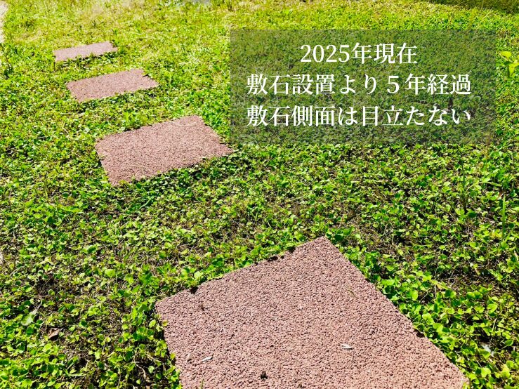 ダイカンドラ敷石側面目立たない